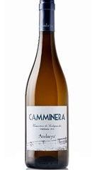 CAMMINERA - Vermentino di Sardegna DOC 2024